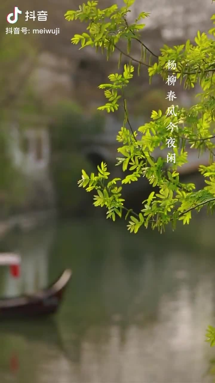 秋意浓 qiuyino93432568 42