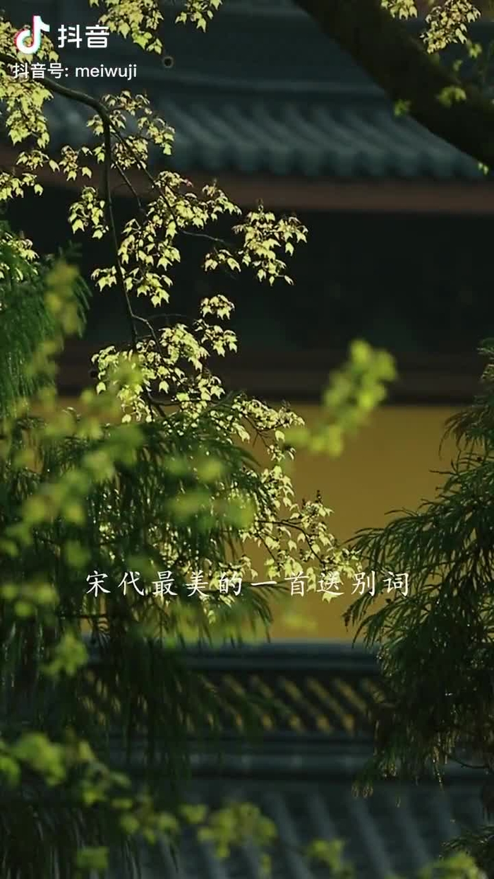 秋意浓 qiuyino93432568 44
