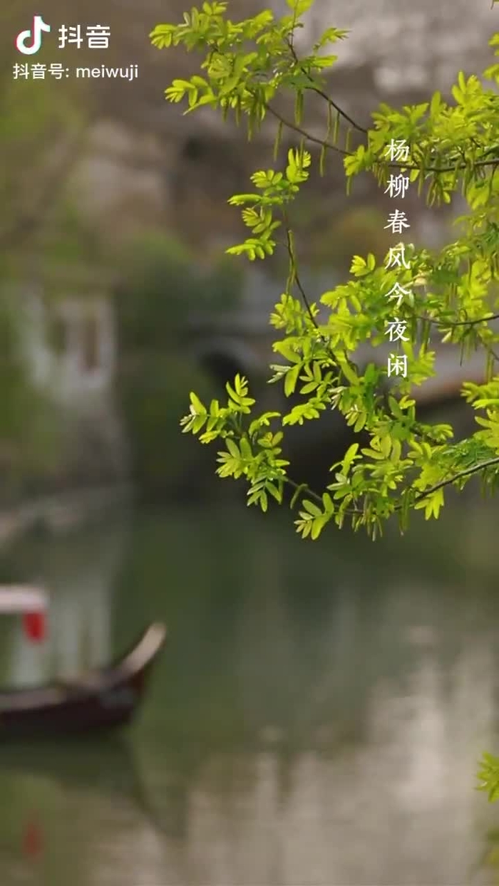 秋意浓 qiuyino93432568 49