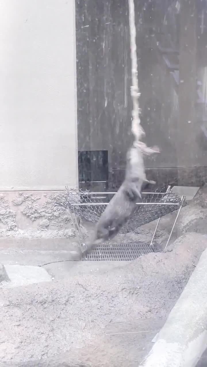 ゆん _42ki_
