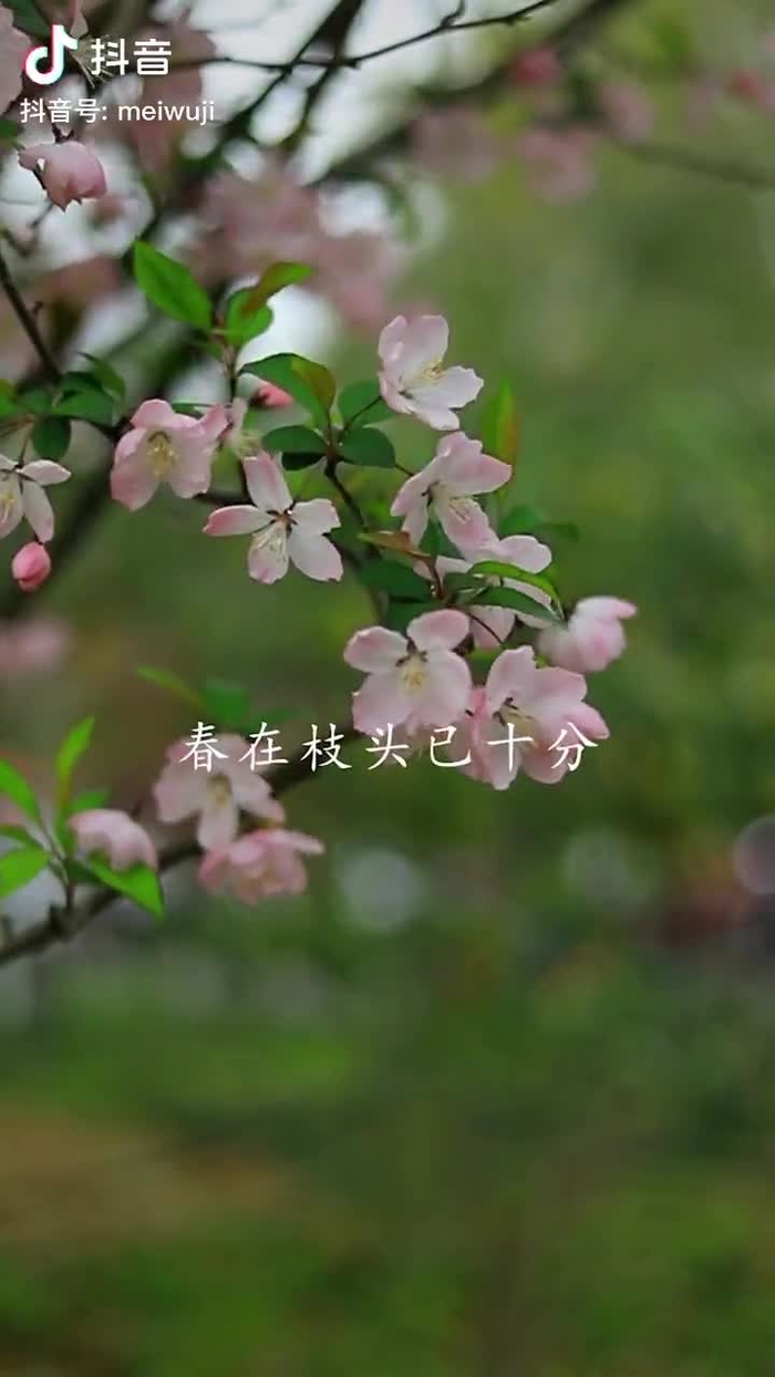 秋意浓 qiuyino93432568 51