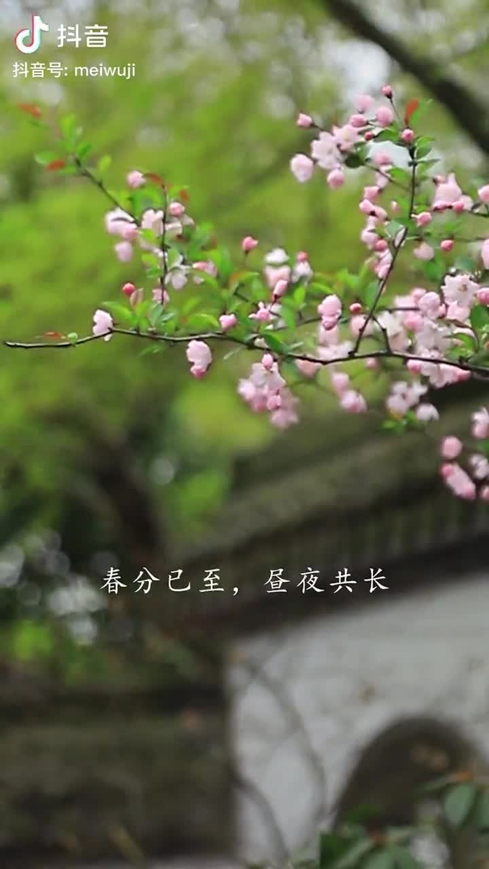 秋意浓 qiuyino93432568 55