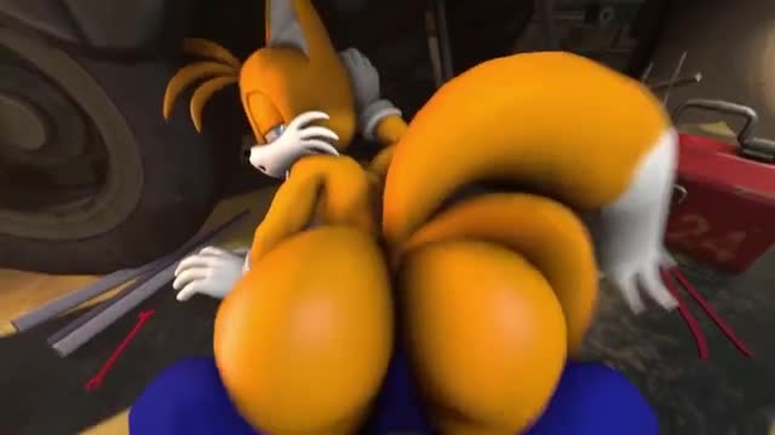 Thordersfm - Tails Booty ride on Sonic’s cock