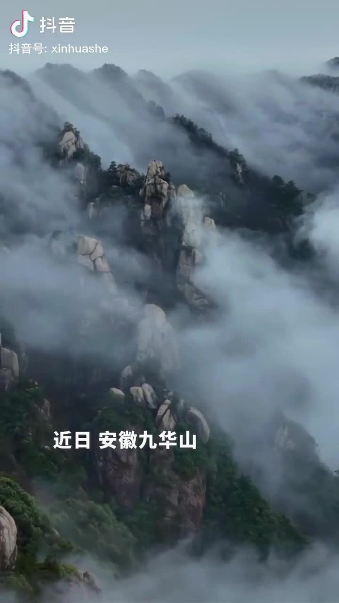 秋意浓 qiuyino93432568 56