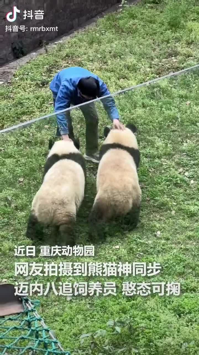 秋意浓 qiuyino93432568 58