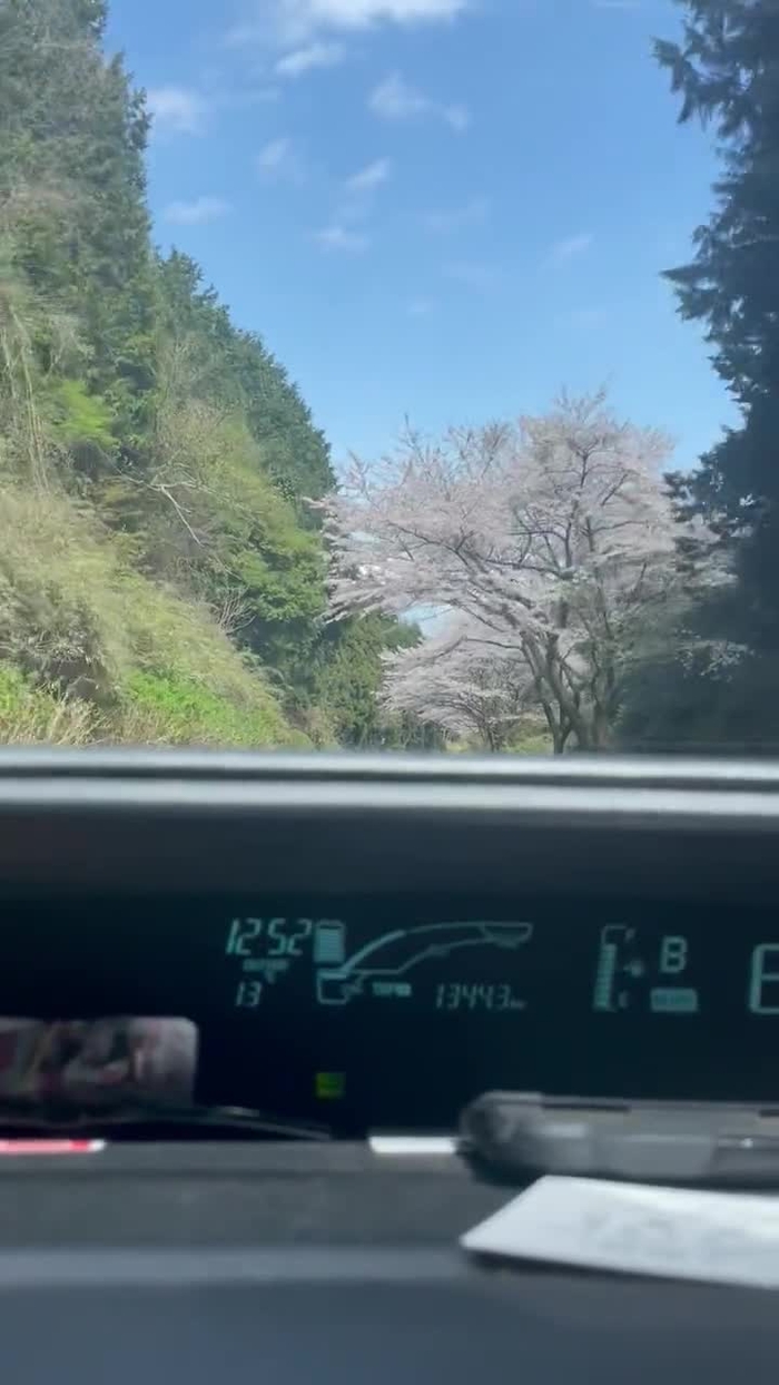 真どうでもいいマン、スムージーさん dodemoi_man