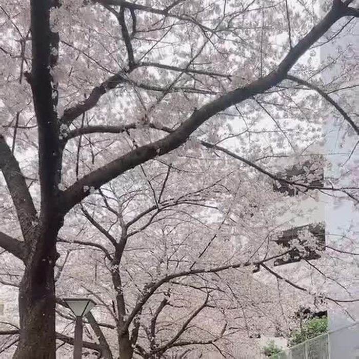 木村あみ🌻ウルトラセレブリティ✨ミスヘブン2022 東京人妻部門4位✨ ami_uc_happy