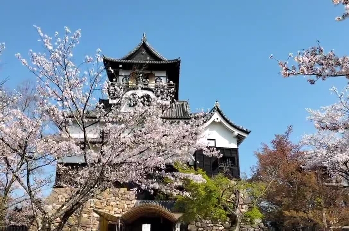 孫市（まごいち）🦪大宮男爵 awabi_magomago