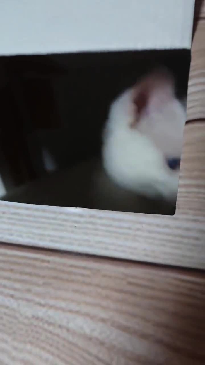 辻レイナ(変なDMは❌) clubhanatsuji 1
