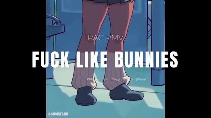 FUCK LIKE BUNNIES - A MIRUKO PMV - RAG PMV
