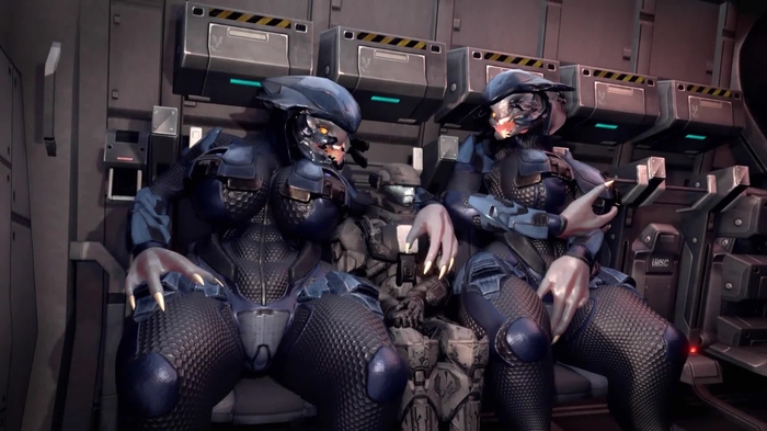 halo (series) 823