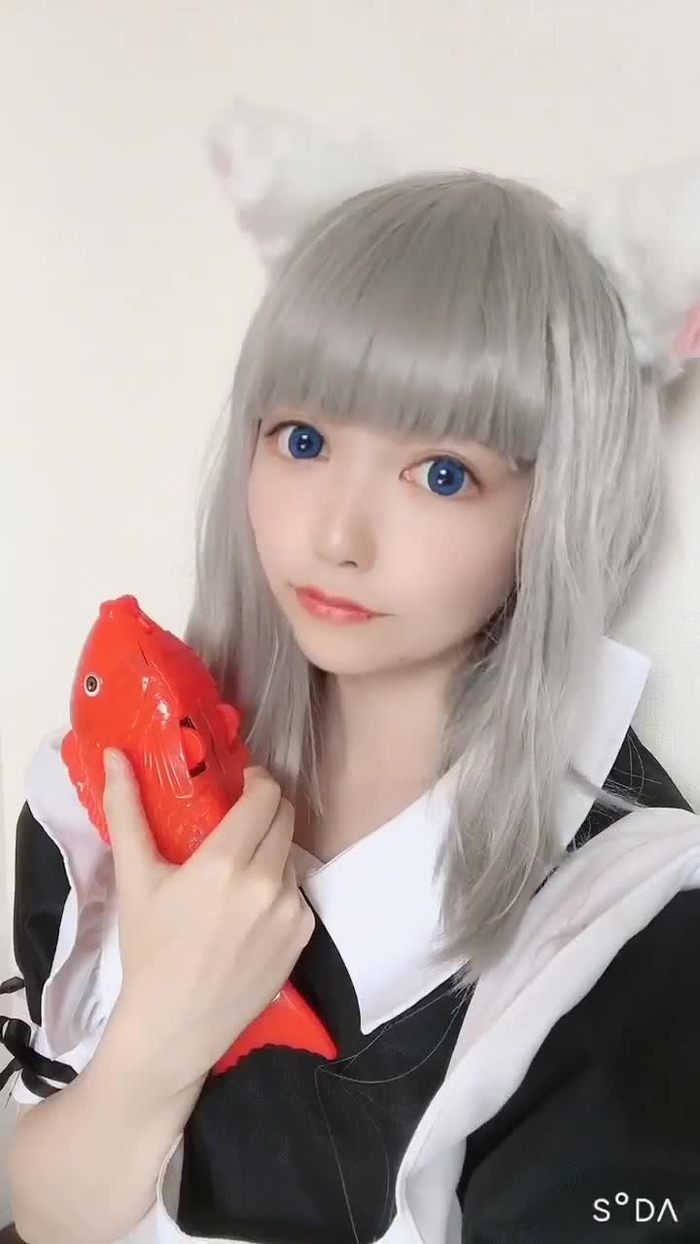 猫 野 れ こ🍎🐈 @neko_reco