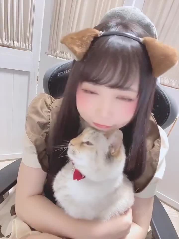 中本yui*🍶🐾💮 @hanyan_nyan 2