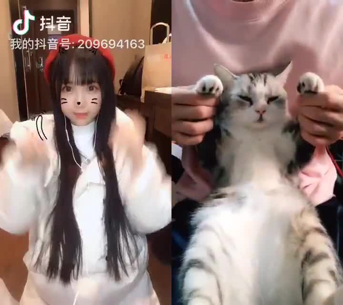 一只大王哀 @yitouaiai 5