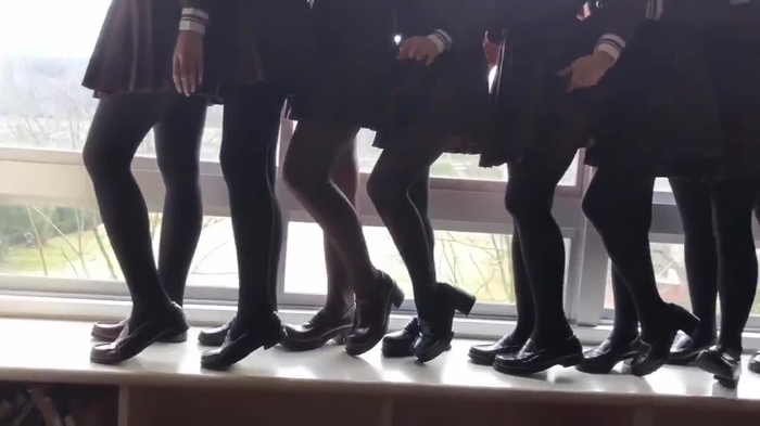 ぽにょ皇子⚜️ @white613like 26