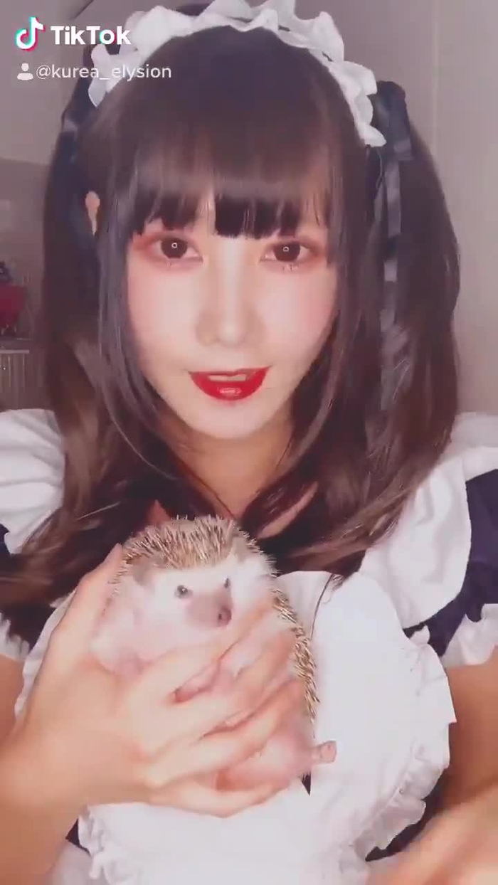 小鳥遊 くれあ🐤🧡 @kurea_elysion 6