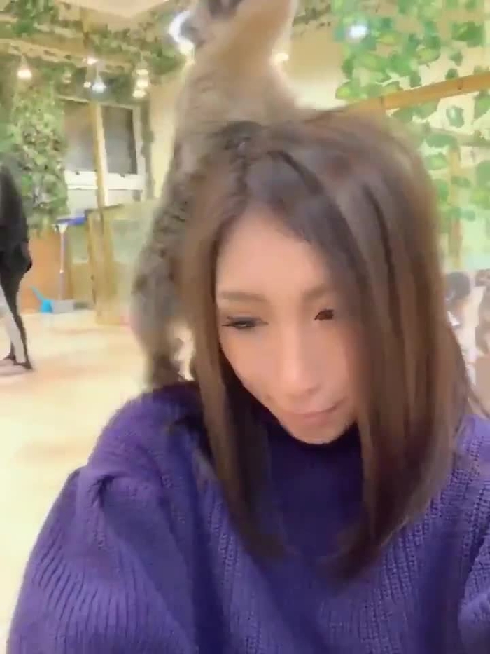 non 11/2大阪撮影会 @monhannoero 1