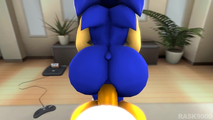 sega 844