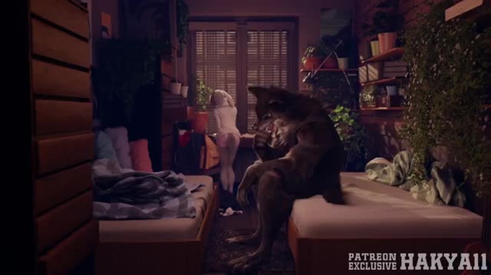 [4K]Cohabitation Of Wolf And Rabbit