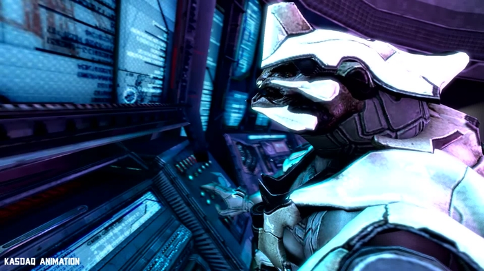 sangheili 73