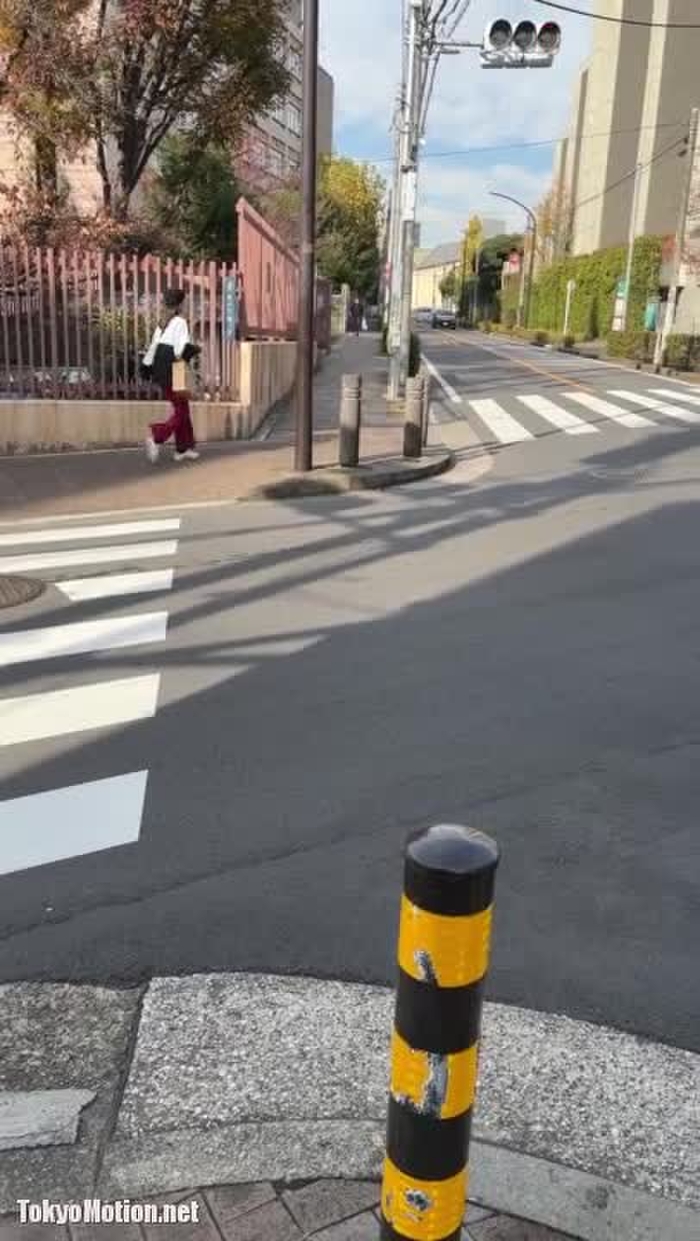 スマホ個人撮影 街中で見つけた巨乳女子’sをナンパ→二人の生デカパイを揉ませてもらったww