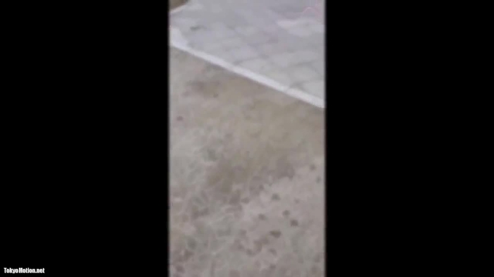 スマホ個人撮影 犬好きで上品な音大生に連続中出し!!＆アナル調教w 見応えたっぷり♪［再］