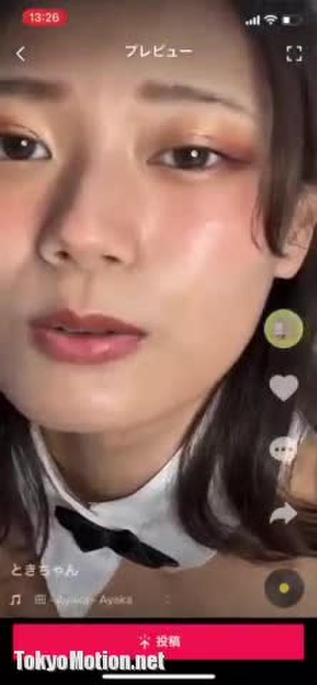 bunny_03