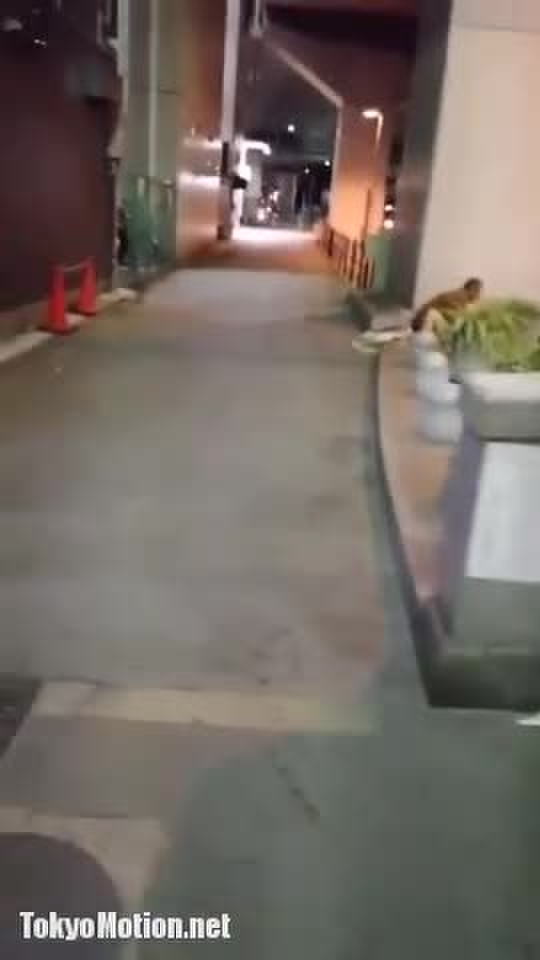 泥酔してホームレスにやられそうになってる