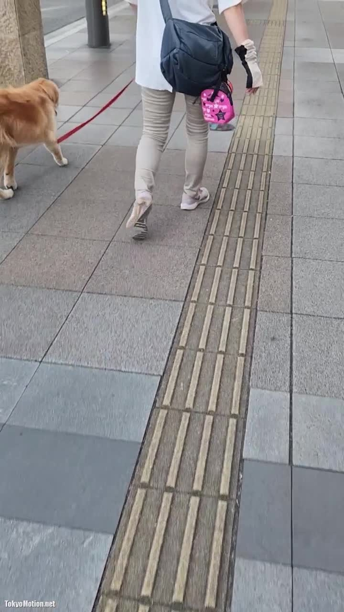 お散歩 透けブラ