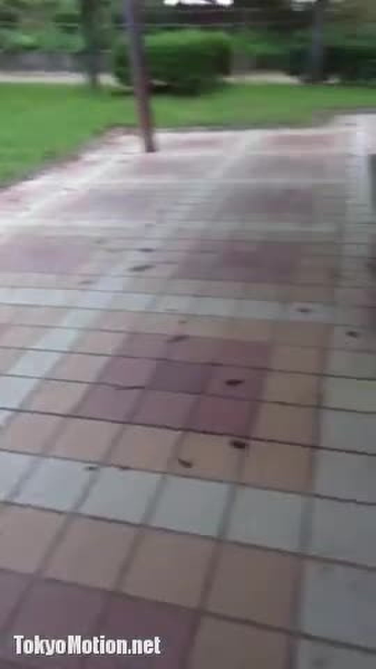 野外フェラ