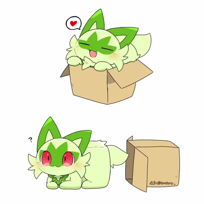 sprigatito 8