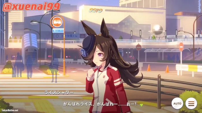 Xuenai 17