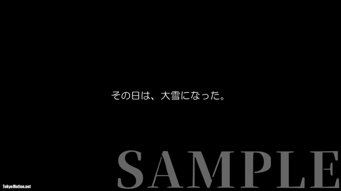 PNME-？ sample 大雪ハメ撮り～泥酔いちゃラブ帰宅困難プライベートセックス～