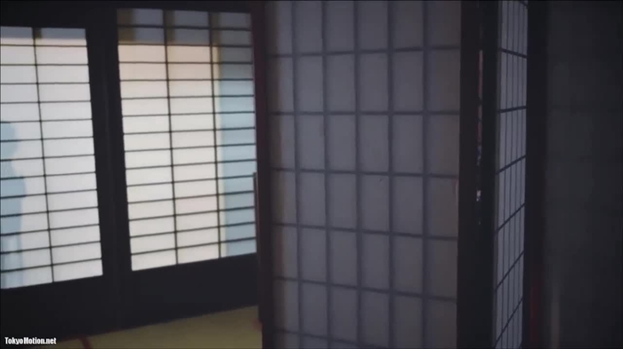 秋和柯基 Artoria 3