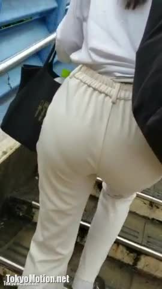 OL パン線