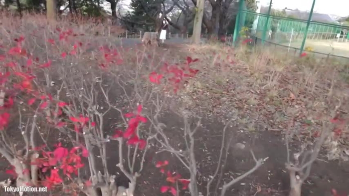スマホ個人撮影 TikT○kerしてる脱いだらFカップ美巨乳な受付嬢と公園デート→ホテルで中出し！(顔出し)
