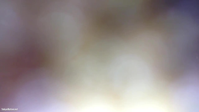 ヒトニアラズ 01