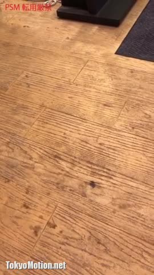 ロンスカTバック逆さ